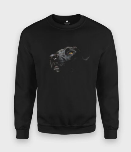 Bluza klasyczna Czarny Labrador