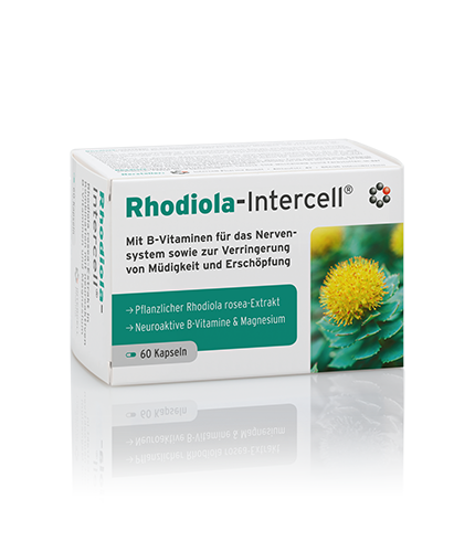 Rhodiola-Intercell® Różeniec Górski 60 kaps. Naturalne ukojenie i źródło wewnętrznej siły. Wysyłka w 24h. Oficjalny dystrybutor